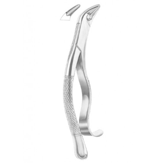 TOMES Fig. 85 lower canines, premolars and molars TOMES Fig. 85 lower canines, premolars and molars