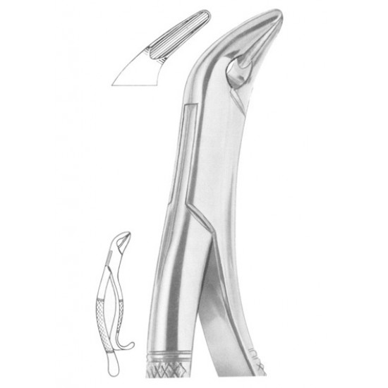 THOMAS Fig. 85A lower canines, premolars and molars THOMAS Fig. 85A lower canines, premolars and molars