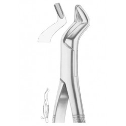  Fig. 104 upper third molars