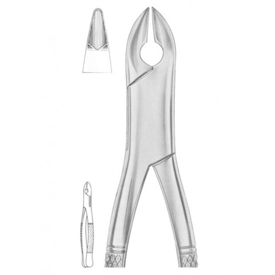  KELLS Fig. 99C upper incisors, canines, premolars