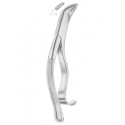  Fig. 103 lower incisors, premolars