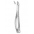  CRYER Fig. 150 lower incisors, premolars, roots