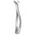  CRYER Fig. 151 lower incisors, premolars, roots