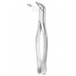 Fig. 203 lower incisors and roots