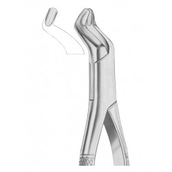  Fig. 210S upper third molars