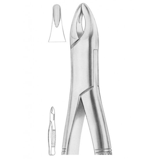  Fig. 201 upper incisors, canines, premolars