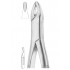  Fig. 201 upper incisors, canines, premolars