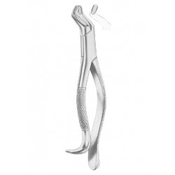  Fig. 210H upper third molars