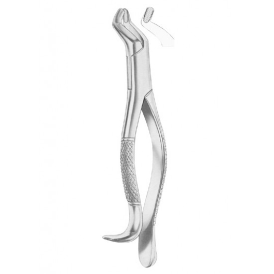  Fig. 210H upper third molars