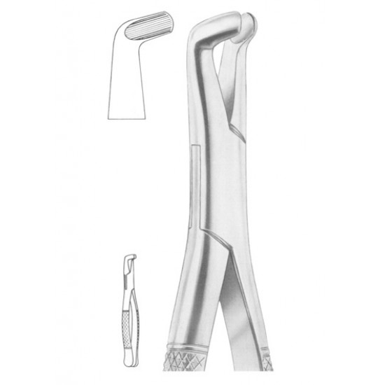 Fig. 222 lower third molars