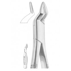  Fig. 286 upper incisors and roots