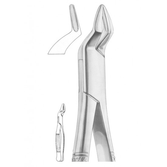  Fig. 286 upper incisors and roots