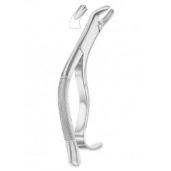  Fig. 286 Swing lower molars