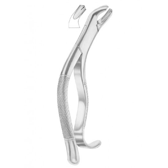  Fig. 286 Swing lower molars