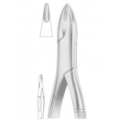  HENAHAN Fig. 315/1A upper incisors