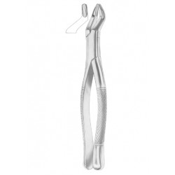 1288 STANDARD Fig. 330/4 upper third molars