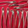 Extracting Forceps 