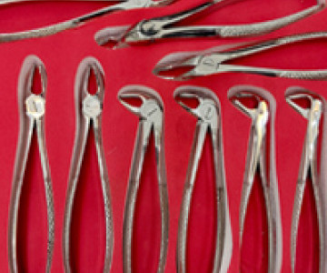 Extracting Forceps 