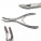 Orthodontic Pliers & Cutters, Rongeurs